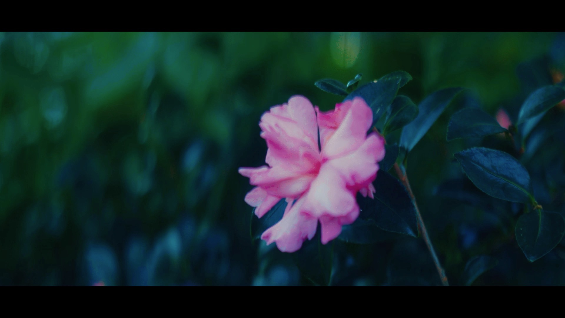 Nature14