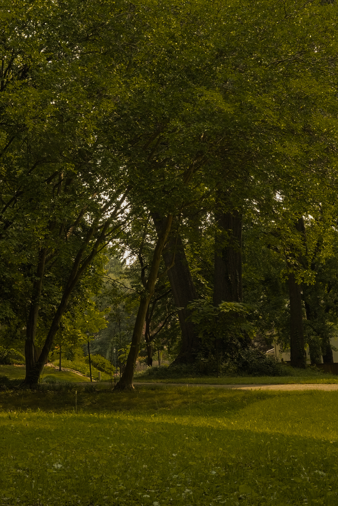 Nature5